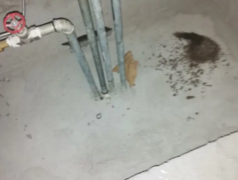 宿迁卫生间测漏水价格明细